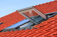 Alves roof window
